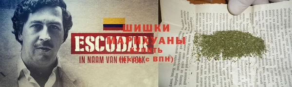 дмт Осташков