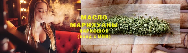 гидра Няндома