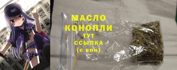 гидра Няндома