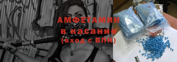 гидра Няндома