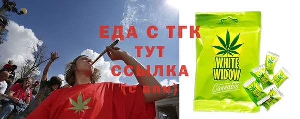 гидра Няндома