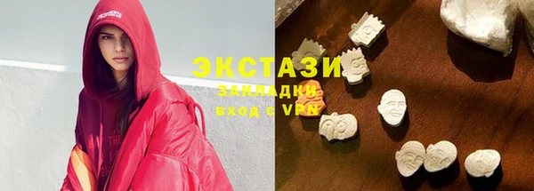 гидра Няндома