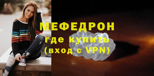 гидра Няндома