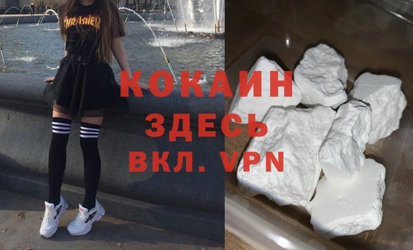 дмт Осташков