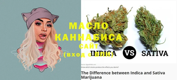 гидра Няндома