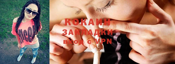 дмт Осташков