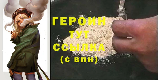 гидра Няндома